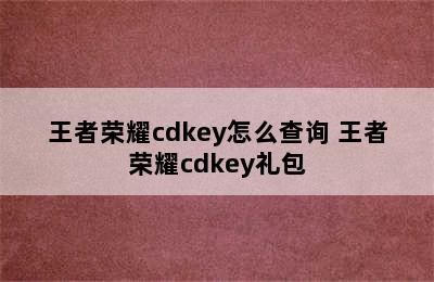 王者荣耀cdkey怎么查询 王者荣耀cdkey礼包